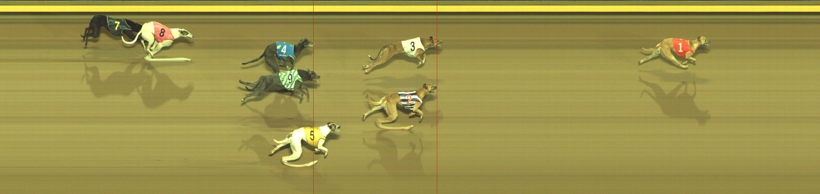 Race result finish photo